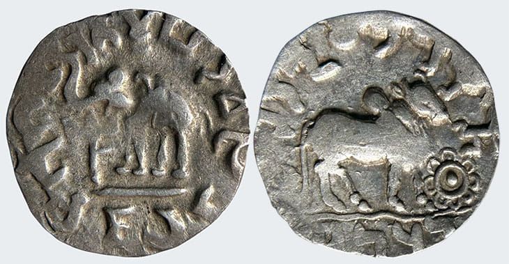 Odoo • Image and Text