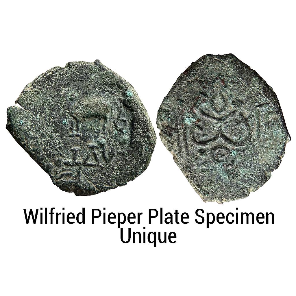 Ancient Ayodhya Region Indravarman Unique Copper Unit